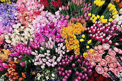 《巫师4》开发重要保障！CDPR今年为未来游戏留了3.2亿美元